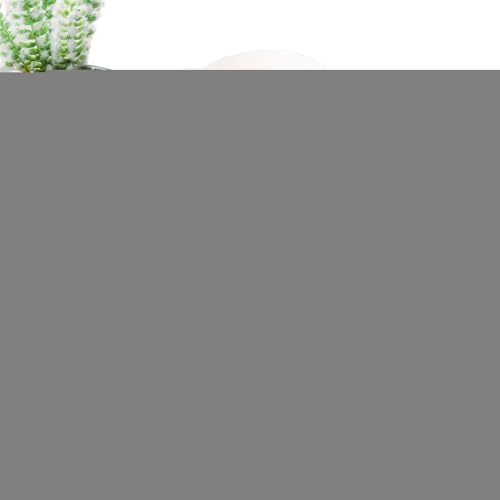 Générique Plüschtier Hase | muskulöser, niedlich, weich, kuschelig, dekoratives Kissen für Weihnachten, Mädchen und Erwachsene, zum Schlafen auf Sofa, Bett und Auto Générique Plüschtier Hase | muskulöser, niedlich, weich, kuschelig, dekoratives Kissen für Weihnachten, Mädchen und Erwachsene, zum Schlafen auf Sofa, Bett und Auto von Générique