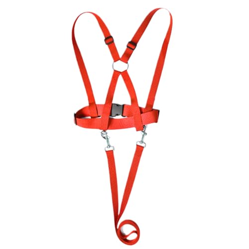 Horse Harness for Children, Wear Resistant Riding Equipment, Adjustable Horse Lead for Kids, Outdoor Activity Role Play Game for Friends Family Boys Teens Girls Horse Harness for Children, Wear Resistant Riding Equipment, Adjustable Horse Lead for Kids, Outdoor Activity Role Play Game for Friends Family Boys Teens Girls von Générique