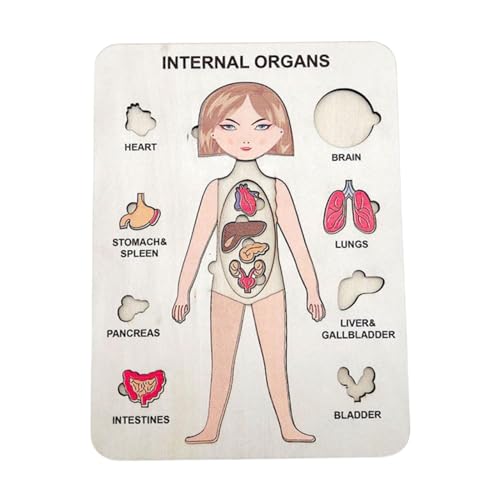 Körperpuzzles für – Menschliches Körperpuzzle aus Holz | Lernpuzzle für den menschlichen Körper, Vorschulspiel für menschlichen Körper, zum Lernen der Teile des menschlichen Körpers von Générique