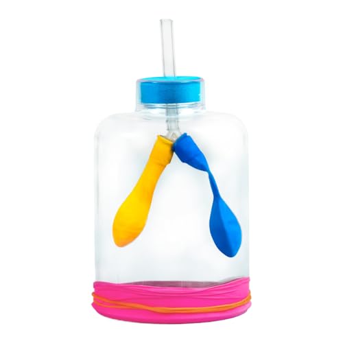 Lung Breathing Model, Educational Respiratory System Toy, Health Science Display Kit, Assembly Experiment Set, for Kids Study, Teaching, Preschool, Home Learning Lung Breathing Model, Educational Respiratory System Toy, Health Science Display Kit, Assembly Experiment Set, for Kids Study, Teaching, Preschool, Home Learning von Générique