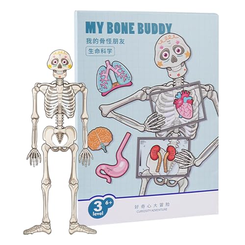 Organ of Human Match – Bodenpuzzle für die menschliche Anatomie – Anatomie-Spielset Puzzle des menschlichen Körpers – Puzzle für den menschlichen Körper, Anatomiespiel für Kleinkinder Organ of Human Match – Bodenpuzzle für die menschliche Anatomie – Anatomie-Spielset Puzzle des menschlichen Körpers – Puzzle für den menschlichen Körper, Anatomiespiel für Kleinkinder von Générique