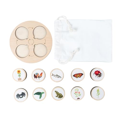 Puzzle des Lebenszyklus | Lebenszyklus von Puzzlespielzeugen aus Holz für Kleinkinder, Cartoon-Puzzles für Babys im Vorschulalter als wissenschaftliches Spielzeug, frühes Lernspielzeug von Générique