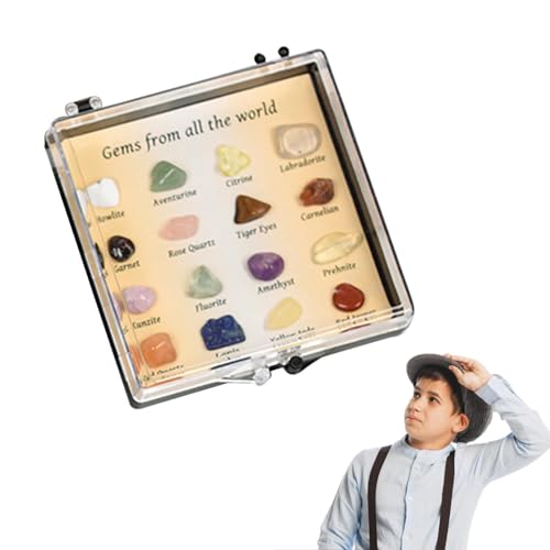 Rock-Sammlung – 20 Stück natürliche Rocks Minerals Set, gemischte Edelsteinproben, Lernstein-Set, Lernproben | Geologisches Set für Weihnachten Rock-Sammlung – 20 Stück natürliche Rocks Minerals Set, gemischte Edelsteinproben, Lernstein-Set, Lernproben | Geologisches Set für Weihnachten von Générique