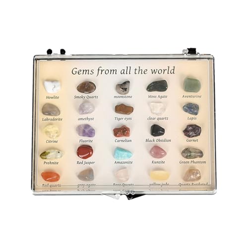 Rocks and Minerals Kids Collection – Natural Crystal Specemen Box, Gemstones Set Children | Pädagogisches Steming-Set, Unterricht der Ressourcen für Jungen FI Rocks and Minerals Kids Collection – Natural Crystal Specemen Box, Gemstones Set Children | Pädagogisches Steming-Set, Unterricht der Ressourcen für Jungen FI von Générique