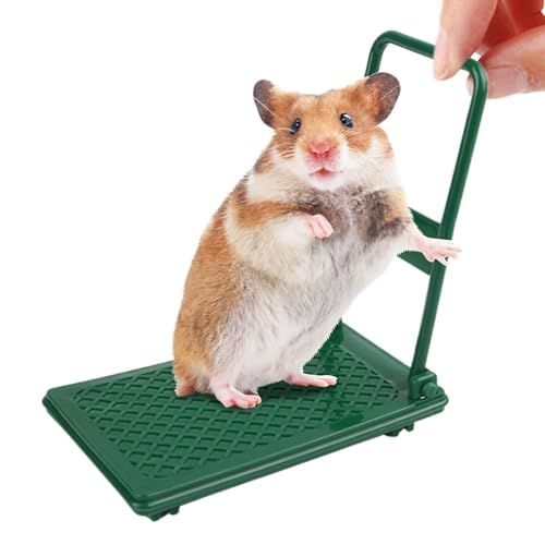 Spielzeug für Zwerghamster – Spielzeug für Hamsterwagen | Hamsterspielzeug für Kleintiere | Handwagen für Hamster Aktivitätsspielzeug | Foto Zubehör Bereicherung Spielzeug für H von Générique
