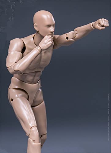 1/12 Maßstab Action Figur,6 Zoll Pocket Serie Drawman Soldat Action Figur Puppen Sammlung (Hautfarbe) von Generisch