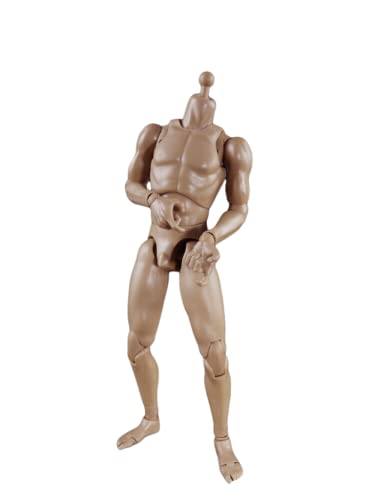 1/6 Männliche Figur Körper,12 Zoll Standard Muskulär Action Figur Körper Flexibel Skin Farbe Soldat Figur (007) von Generisch