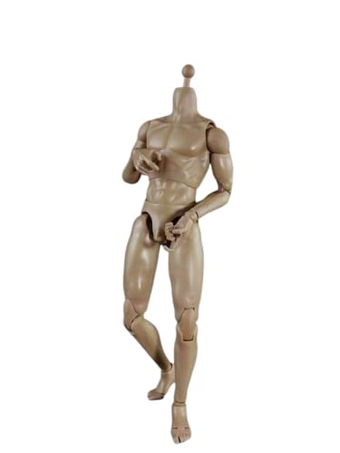 1/6 Männliche Figur Körper,12 Zoll Standard Muskulär Action Figur Körper Flexibel Skin Farbe Soldat Figur (009) von Generisch