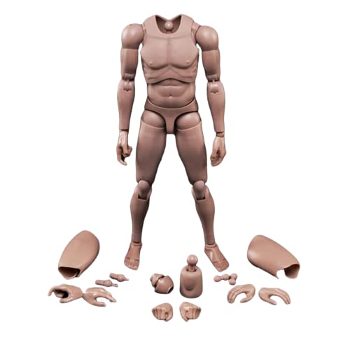 Generisch 1/6 Männlicher Körper,12'' Europa Haut Actionfigur Körper Spielzeug MX02-A Für 1/6 Kopf Skulptur Generisch 1/6 Männlicher Körper,12'' Europa Haut Actionfigur Körper Spielzeug MX02-A Für 1/6 Kopf Skulptur von Generisch