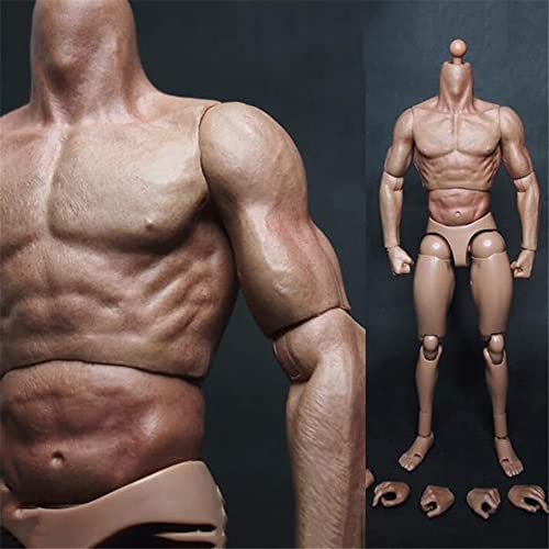 1/6 Männlicher Körper,12'' Flexibel Muskulatur Action Figur Puppen für 1:6 Maßstab Kopf Skulptur von Generisch