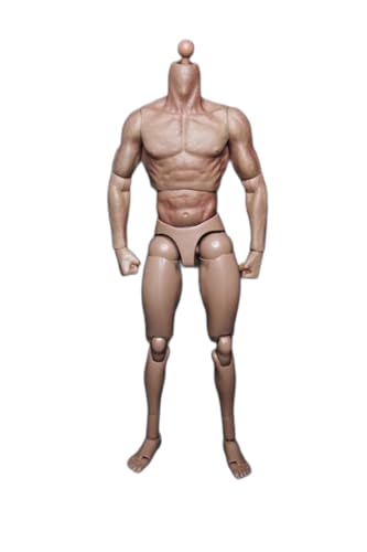 1/6 Männlicher Körper,12'' Flexibel Muskulatur Action Figur Puppen für 1:6 Maßstab Kopf Skulptur 1/6 Männlicher Körper,12'' Flexibel Muskulatur Action Figur Puppen für 1:6 Maßstab Kopf Skulptur von Generisch
