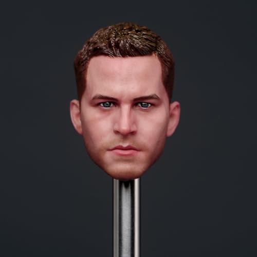 1/6 Maßstab Männlich Kopf Skulptur, Paul Walker Europäischer Mann Kopf Geschnitzt für 12 Zoll Actionfiguren Körper Puppe 1/6 Maßstab Männlich Kopf Skulptur, Paul Walker Europäischer Mann Kopf Geschnitzt für 12 Zoll Actionfiguren Körper Puppe von Generisch