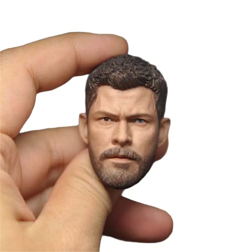 1/6 Skala Männlich Kopf Skulptur, Chris Hemsworth Europäischer Mann Kopf Geschnitzt für 12inch Action Figur Körper Puppe (C) von Generisch