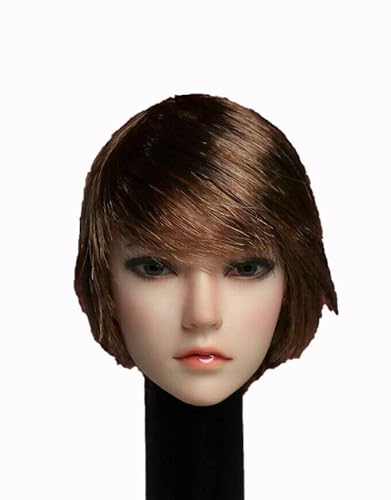 1/6 Skala Weiblicher Kopf Sculpt,Asiatisches Mädchen Gepflanzt Haar Kopf Geschnitzt für 12inch Weiblich PH TBL JO Action Figur Körper (SDH002A) von Generisch