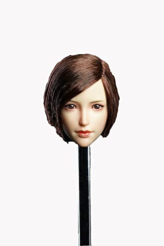 1/6 Skala Weiblicher Kopf Sculpt,Asiatisches Mädchen Gepflanzt Haar Kopf Geschnitzt für 12inch Weiblich PH TBL JO Action Figur Körper (SDH017B) von Generisch