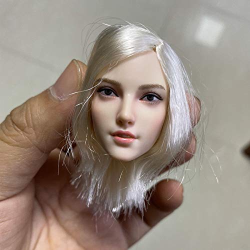 1/6 Weiblich Kopf Sculpt,Weibliches Silber Haar Kopf Geschnitzt für 12 Zoll Action Figur Körper Puppe von Generisch