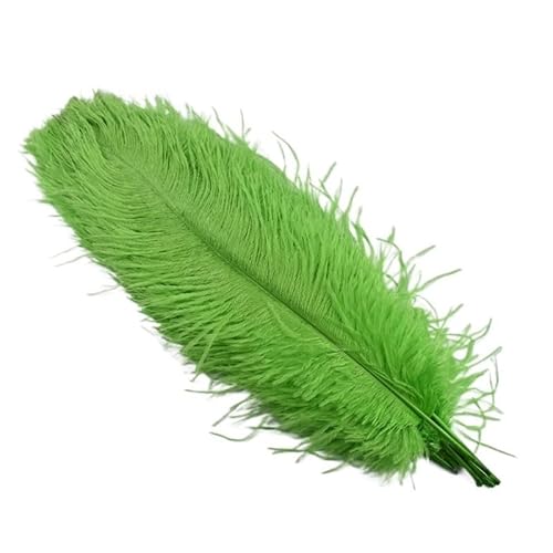 10 Teile/los 45-50cm Straußenfedern for Handwerk Hochzeit Party Dekoration Handwerk Zubehör Tischdekoration DIY Große Feder(Apple Green) von Generisch