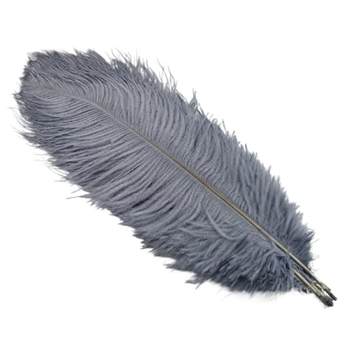 10 Teile/los 45-50cm Straußenfedern for Handwerk Hochzeit Party Dekoration Handwerk Zubehör Tischdekoration DIY Große Feder(Grey) von Generisch