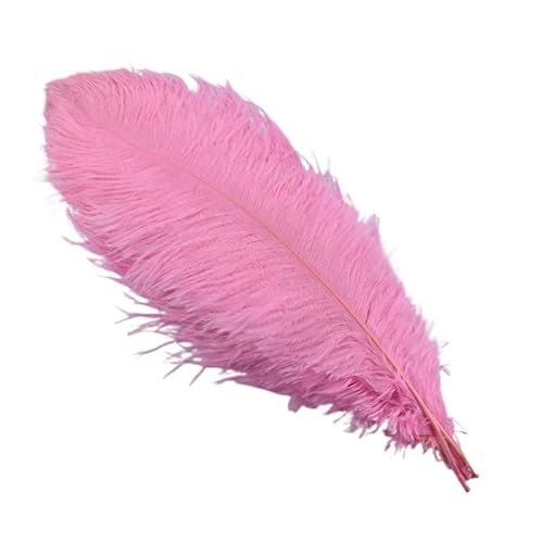 10 Teile/los 45-50cm Straußenfedern for Handwerk Hochzeit Party Dekoration Handwerk Zubehör Tischdekoration DIY Große Feder(Pink) von Generisch