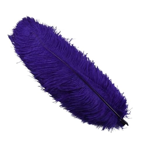 10 Teile/los 45-50cm Straußenfedern for Handwerk Hochzeit Party Dekoration Handwerk Zubehör Tischdekoration DIY Große Feder(Purple) von Generisch
