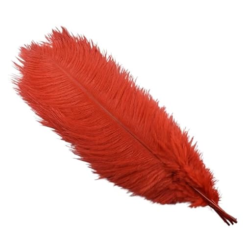 10 Teile/los 45-50cm Straußenfedern for Handwerk Hochzeit Party Dekoration Handwerk Zubehör Tischdekoration DIY Große Feder(Red) von Generisch