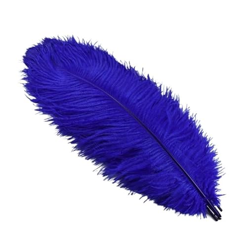 10 Teile/los 45-50cm Straußenfedern for Handwerk Hochzeit Party Dekoration Handwerk Zubehör Tischdekoration DIY Große Feder(Royal Blue) von Generisch