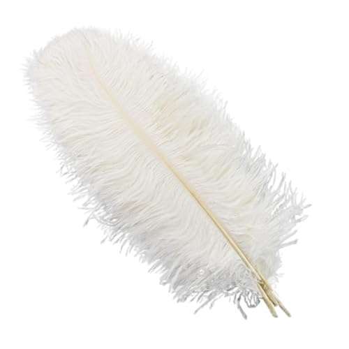 10 Teile/los 45-50cm Straußenfedern for Handwerk Hochzeit Party Dekoration Handwerk Zubehör Tischdekoration DIY Große Feder(White) von Generisch