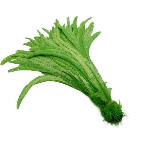 100 stücke Rooster Schwanzfedern Schwärzlich Grün 25-45cm Natürliche Federn Beige DIY Cock Kleidung Schmuck Zubehör Party(Apple Green,40-45cm) von Generisch