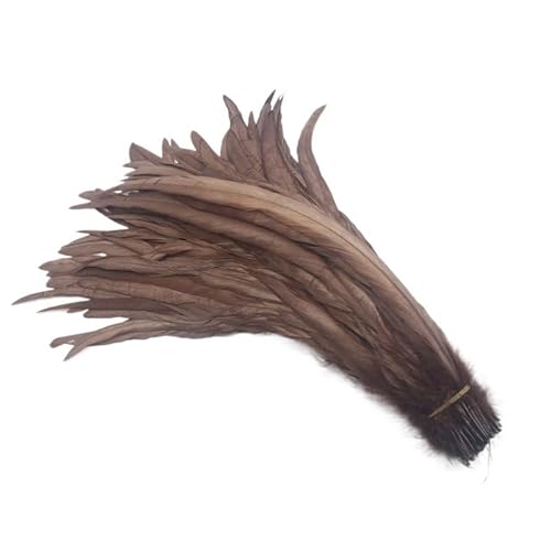 100 stücke Rooster Schwanzfedern Schwärzlich Grün 25-45cm Natürliche Federn Beige DIY Cock Kleidung Schmuck Zubehör Party(Brown,40-45cm) von Generisch