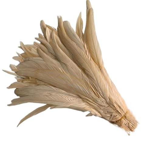 100 stücke Rooster Schwanzfedern Schwärzlich Grün 25-45cm Natürliche Federn Beige DIY Cock Kleidung Schmuck Zubehör Party(Champagne,25-30cm) von Generisch