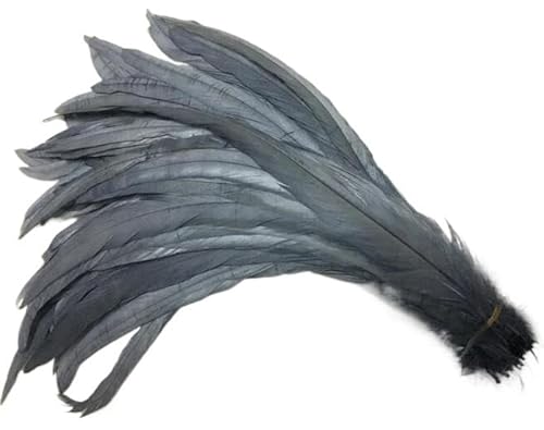 100 stücke Rooster Schwanzfedern Schwärzlich Grün 25-45cm Natürliche Federn Beige DIY Cock Kleidung Schmuck Zubehör Party(Grey,35-40cm) von Generisch