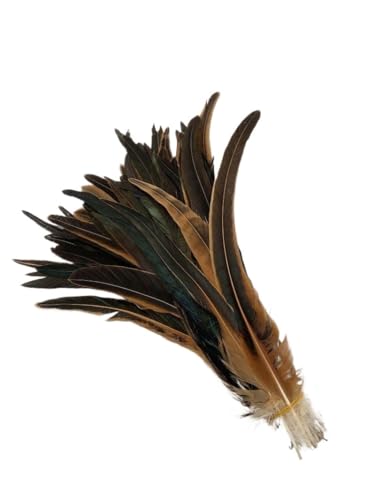 100 stücke Rooster Schwanzfedern Schwärzlich Grün 25-45cm Natürliche Federn Beige DIY Cock Kleidung Schmuck Zubehör Party(Natural Brown,35-40cm) von Generisch