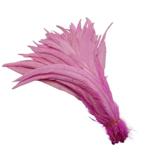 100 stücke Rooster Schwanzfedern Schwärzlich Grün 25-45cm Natürliche Federn Beige DIY Cock Kleidung Schmuck Zubehör Party(Pink,35-40cm) von Generisch