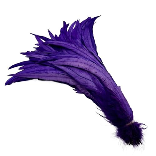100 stücke Rooster Schwanzfedern Schwärzlich Grün 25-45cm Natürliche Federn Beige DIY Cock Kleidung Schmuck Zubehör Party(Purple,35-40cm) von Generisch