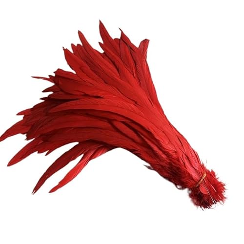 100 stücke Rooster Schwanzfedern Schwärzlich Grün 25-45cm Natürliche Federn Beige DIY Cock Kleidung Schmuck Zubehör Party(Red,40-45cm) von Generisch