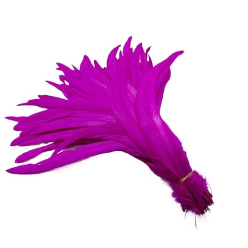 100 stücke Rooster Schwanzfedern Schwärzlich Grün 25-45cm Natürliche Federn Beige DIY Cock Kleidung Schmuck Zubehör Party(Rose red,35-40cm) von Generisch