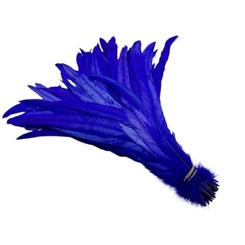 100 stücke Rooster Schwanzfedern Schwärzlich Grün 25-45cm Natürliche Federn Beige DIY Cock Kleidung Schmuck Zubehör Party(Royalblue,35-40cm) von Generisch