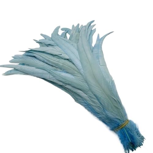 100 stücke Rooster Schwanzfedern Schwärzlich Grün 25-45cm Natürliche Federn Beige DIY Cock Kleidung Schmuck Zubehör Party(Sky Blue,30-35cm) von Generisch