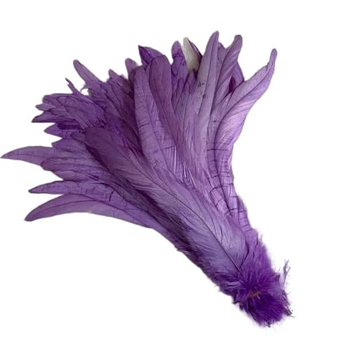100 stücke Rooster Schwanzfedern Schwärzlich Grün 25-45cm Natürliche Federn Beige DIY Cock Kleidung Schmuck Zubehör Party(Violet,30-35cm) von Generisch