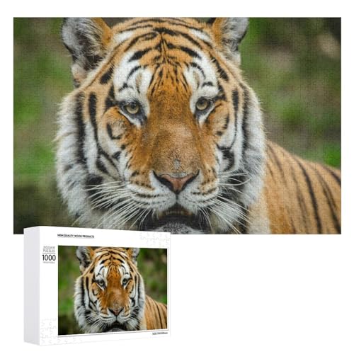 1000 Teile Lindenholz Tiger Puzzle Entspannung Geschenk für jedes Alter von Generisch
