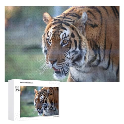1000 Teile Lindenholz Tiger Puzzle Stressabbau Home Display von Generisch