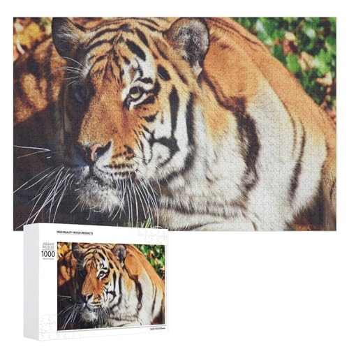 1000 Teile Lindenholz Tiger Puzzle für Erwachsene und Kinder Natur Kunst Geschenk von Generisch