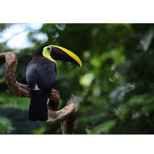 1000 Teile Puzzle für Erwachsene, Tierischer Vogel, Farbenfrohes Legespiel, Pädagogisches Spiel Herausforderung Spielzeug, Impossible Geschicklichkeitsspiel für die Ganze Familie 1000 Teile Puzzle für Erwachsene, Tierischer Vogel, Farbenfrohes Legespiel, Pädagogisches Spiel Herausforderung Spielzeug, Impossible Geschicklichkeitsspiel für die Ganze Familie von Generisch