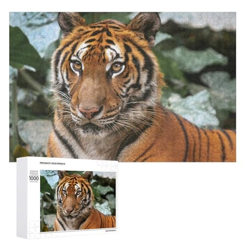 1000 Teile Tiger Art Puzzle für Familienspielabend Erwachsene und Teenager von Generisch