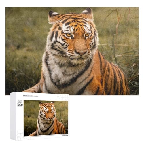 1000 Teile Tiger Art Puzzle für Naturliebhaber und Puzzlefans von Generisch