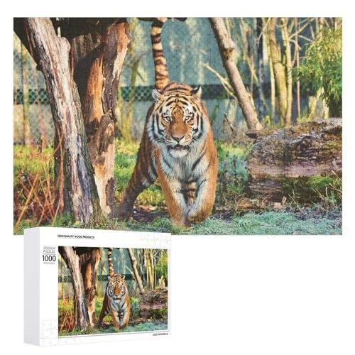 1000 Teile Tiger Illustration Puzzle, für pädagogischen Spaß, Erwachsene und Kinder von Generisch