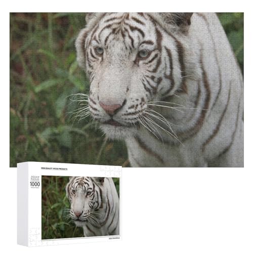 1000 Teile Tiger Illustration Puzzle für Naturliebhaber und Puzzlefans von Generisch