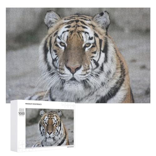 1000 Teile Tiger Illustration Puzzle zur Entspannung Geschenk für alle Altersgruppen von Generisch