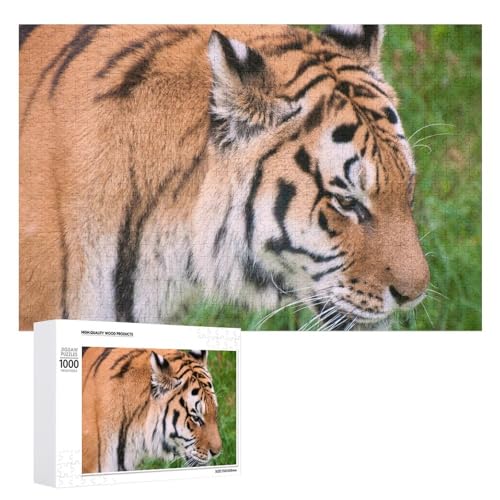 1000 Teile Tiger Kunst Puzzle für Erwachsene und Kinder Natur Kunst Geschenk von Generisch