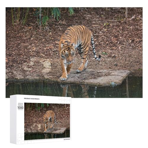1000 Teile Tiger Kunst Puzzle für Wohnkultur und Entspannung von Generisch